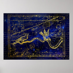 poster van de zodische constellatie
