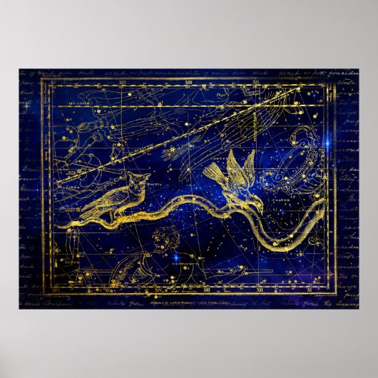 poster van de zodische constellatie (Voorkant)
