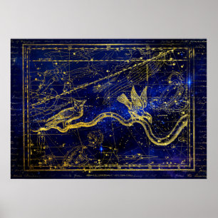 poster van de zodische constellatie