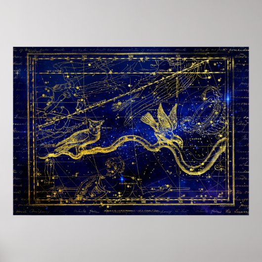 poster van de zodische constellatie (Voorkant)