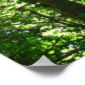 Poster van de zonneboom (Hoek)