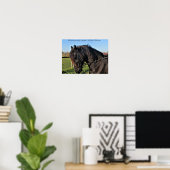 Poster van de zwarte Friesian Horse beroemde paard (Thuiskantoor)