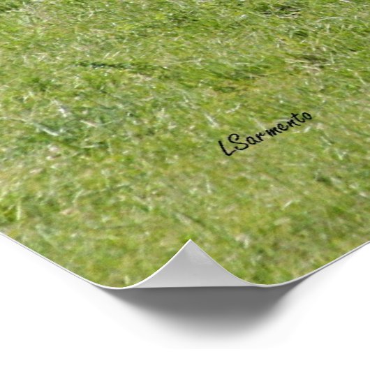 Poster van de zwarte vleermuis (Hoek)