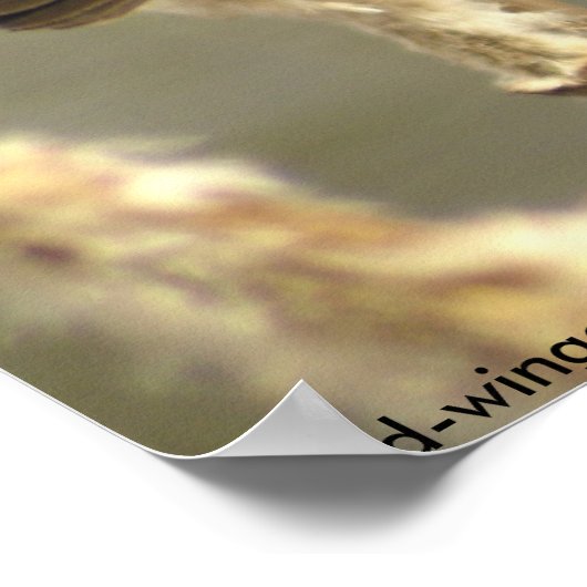 Poster van de zwarte vrouw (Hoek)