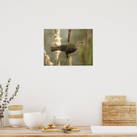 Poster van de zwarte vrouw (Keuken)