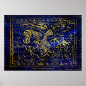 poster van delphinus constellation (Voorkant)