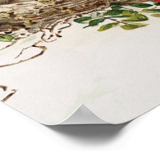 Poster van dieren - Vogelvogels in nestland (Hoek)