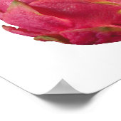 Poster van drakenvruchten (Hoek)