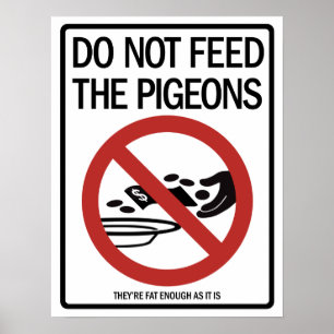 Poster van duif/predikant