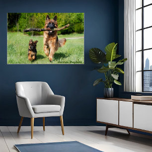 Poster van Duitse Herdershond Moeder en Pup die Re