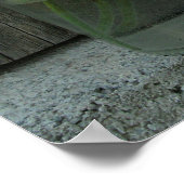 Poster van dwerghout en schuurhout (Hoek)