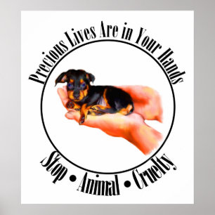 Poster van edele springstoffen