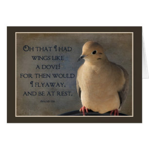 Poster van een duif