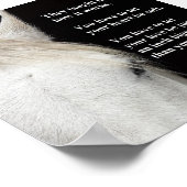 Poster van een foto van een wit paard met een cita (Hoek)