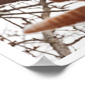 Poster van een kat die op het punt staat uit een b (Hoek)