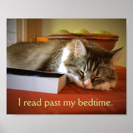 Poster van een lezer (Voorkant)