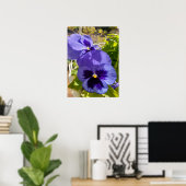 Poster van een prachtige blauwe Pansy Flower Garde (Thuiskantoor)