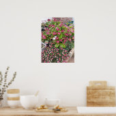 Poster van een prachtige rode pelargonium van een  (Keuken)