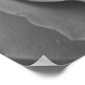 Poster van één Roos (Hoek)