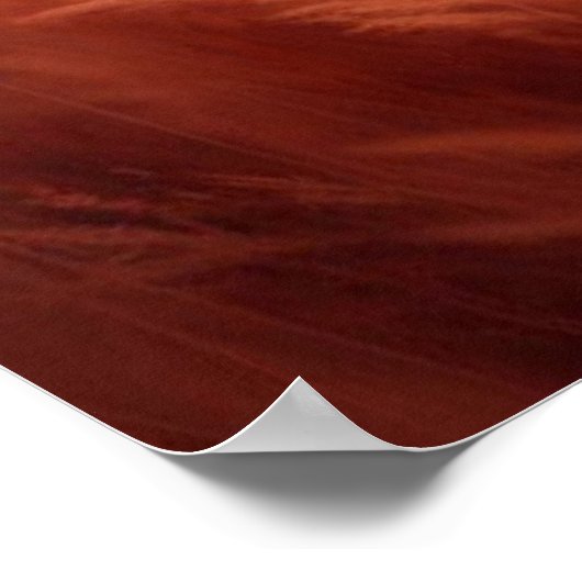 Poster van een Wilde Leeuwin (Hoek)