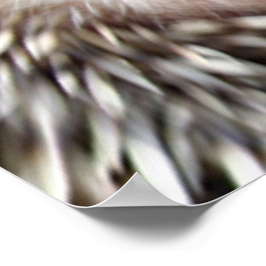 Poster van Egel Love (Hoek)