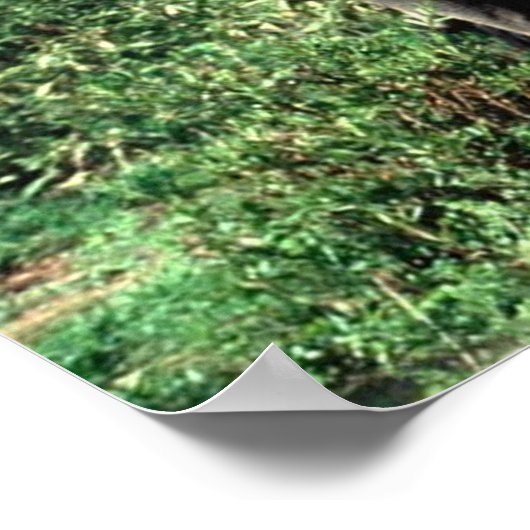 Poster van Elephants (Hoek)