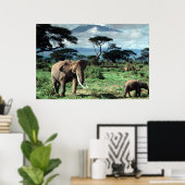 Poster van Elephants (Thuiskantoor)