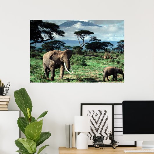 Poster van Elephants (Thuiskantoor)