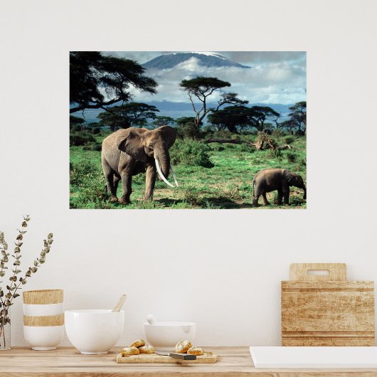 Poster van Elephants (Keuken)