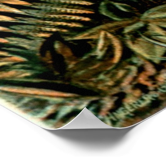 Poster van Ernst Haeckel in de Filicinae (Tree Fer (Hoek)