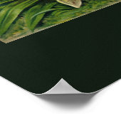 Poster van Ernst Haeckel Orchidaceae (Hoek)