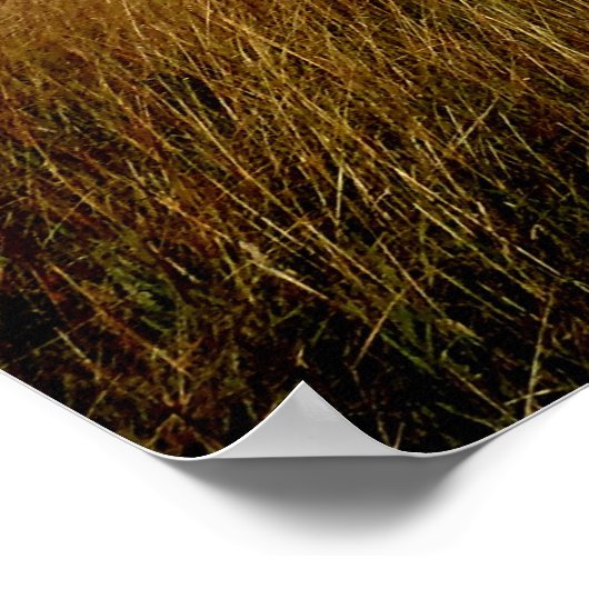 Poster van Flint Hills (Hoek)