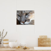 Poster van Florida Panther (4071) (Keuken)