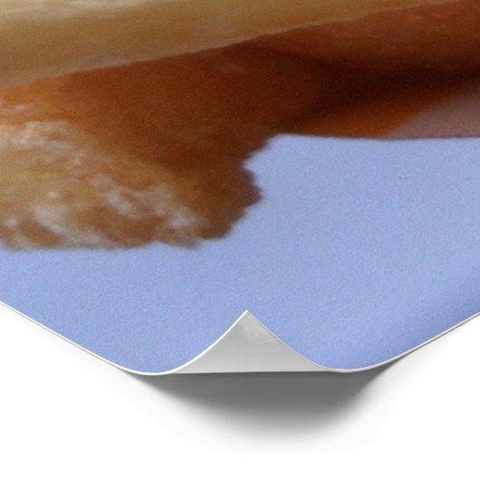 Poster van Franse veerboten (Hoek)