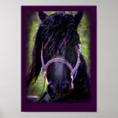 Poster van Friesian Horse (Voorkant)