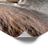 Poster van Friesian Horse Eye (Hoek)