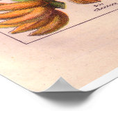 poster van  fruit 1920 (Hoek)