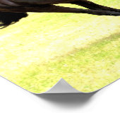 Poster van galoping (Hoek)