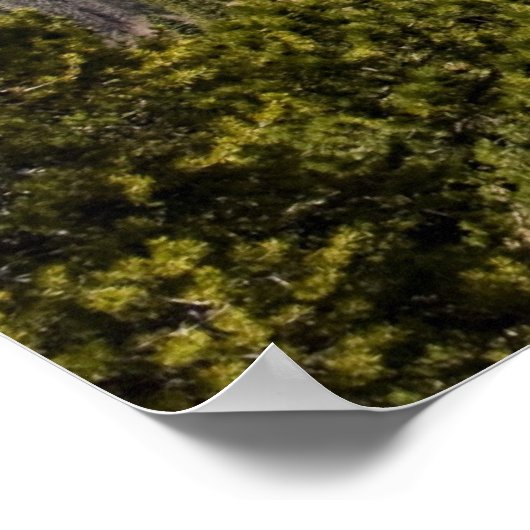 Poster van gebergte Uitzicht (Hoek)