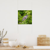Poster van Geelkruinreiger (Keuken)