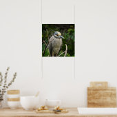 Poster van Geelkruinreiger (Keuken)