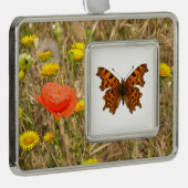 Poster van geïsoleerd Briefkaart van vlindervlinde Verzilverd Omlijst Ornament (Rechts)