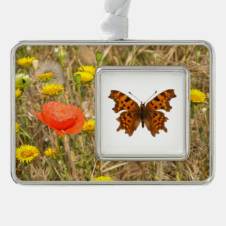 Poster van geïsoleerd Briefkaart van vlindervlinde Verzilverd Omlijst Ornament
