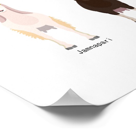 Poster van geiten (Hoek)