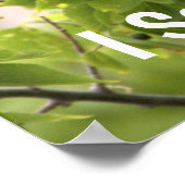 Poster van gekkenstaartgrackle (Hoek)