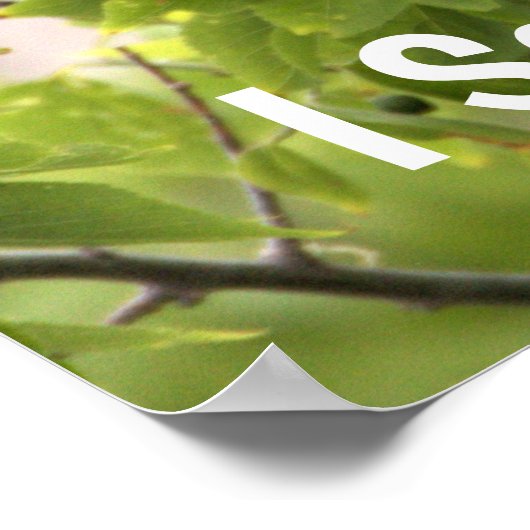 Poster van gekkenstaartgrackle (Hoek)