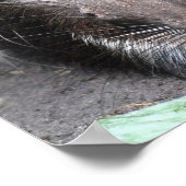 Poster van gekoelde varkens (Hoek)