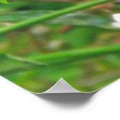 Poster van gele dragonfly (Hoek)