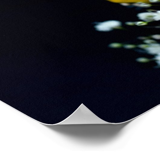 Poster van gele rozenbloem (Hoek)