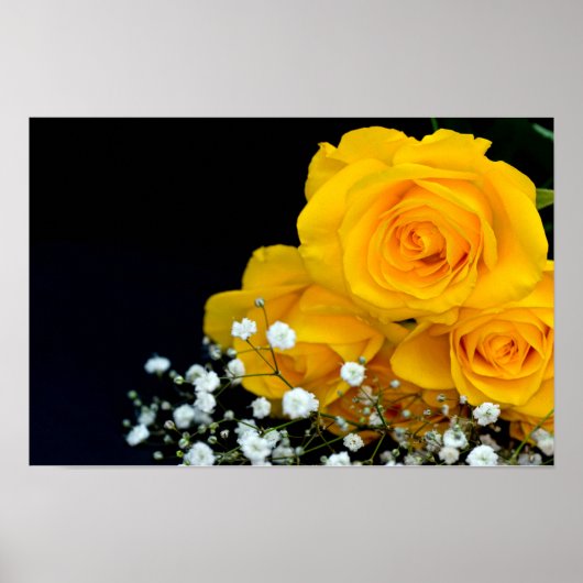 Poster van gele rozenbloem (Voorkant)